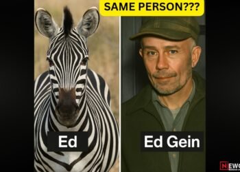 Ed the zebra finally caught by LEO (Law Enforcement Officers)