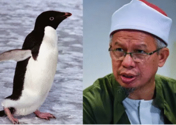 Malaysian Cleric Declares Penguin Meat Halal